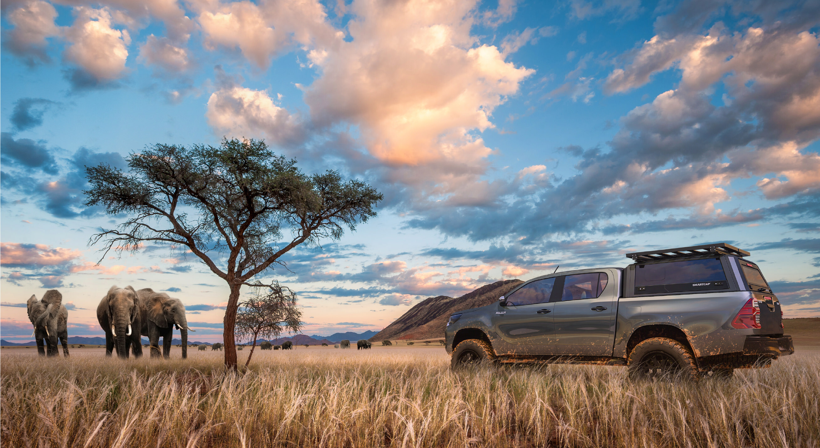 Hilux Elephants